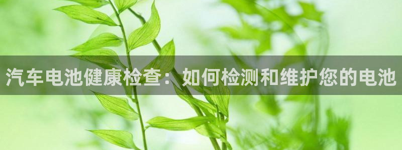 优发国际手机版网站