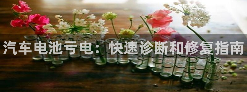 优发国际手机客户端下载安卓