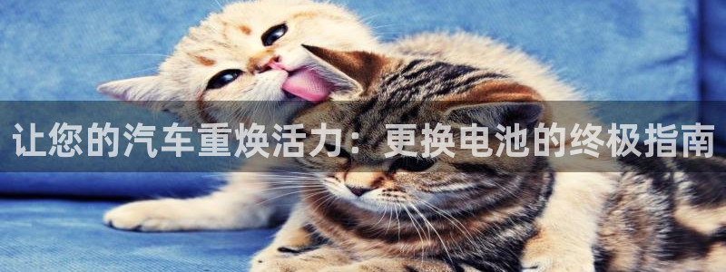 优发国际合并到哪里了最新消息