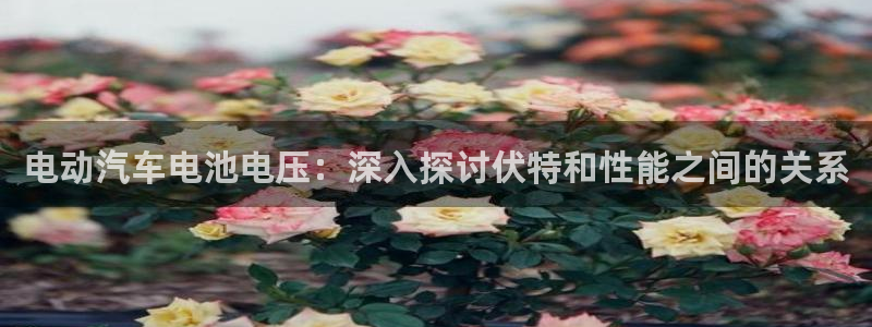 优发娱乐pc版官网