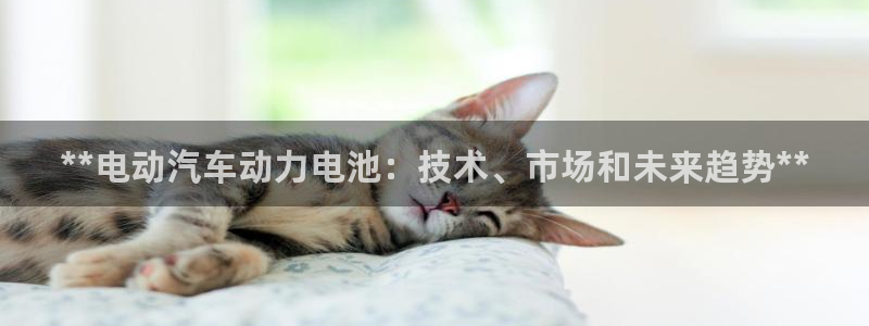 优发国际手机客户端下载安装
