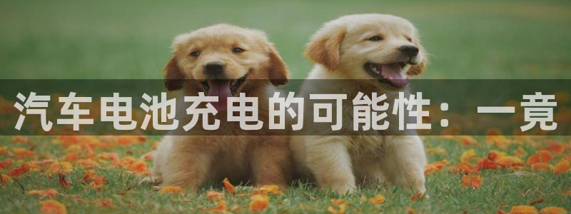 优发国际官方网手机版入口