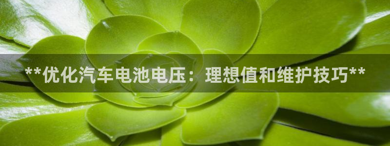 优发国际不出款