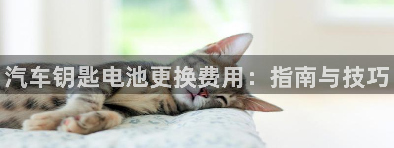 优发国际官网手机版下载