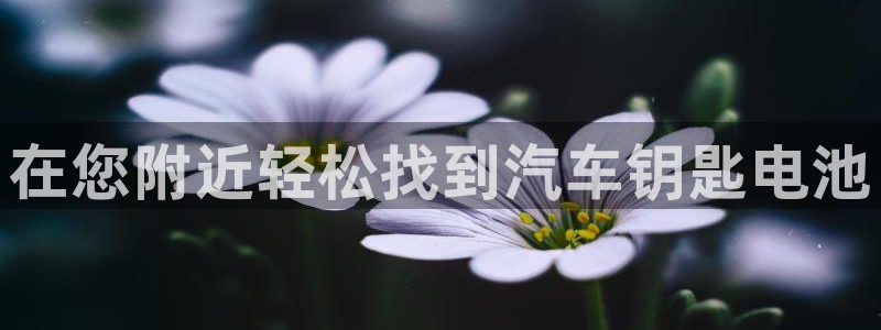 优发国际登录l8