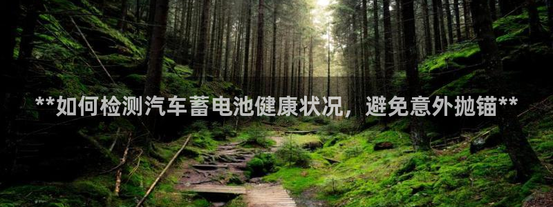 优发国际官网下载app