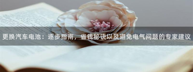 优发国际合并到哪里了