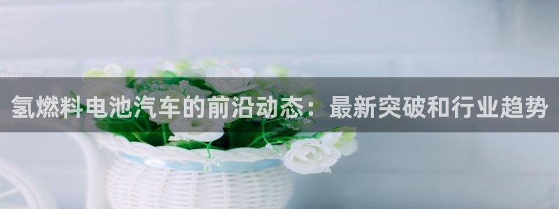 优发国际游戏17岁能玩吗