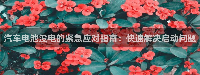 优发国际手机客户端怎么下载