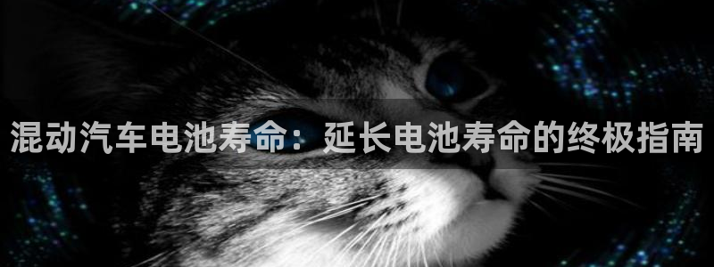 优发国际官方网平台