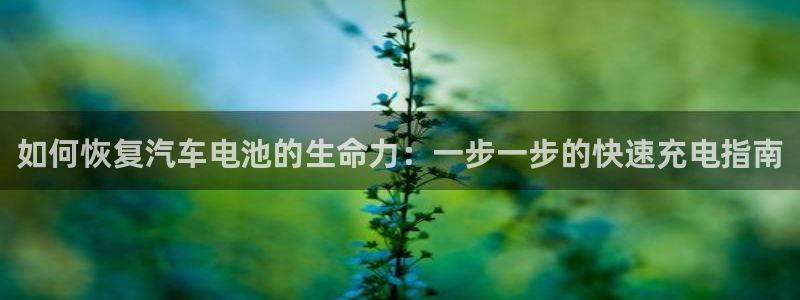 优发国际合并到哪里了
