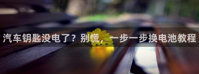 优发国际的官网是什么软件