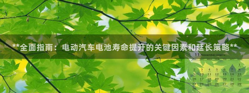 优发国际平台u8