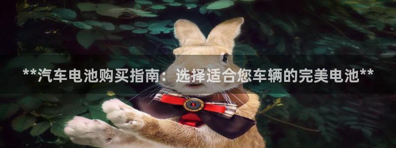 优发国际平台u8是什么