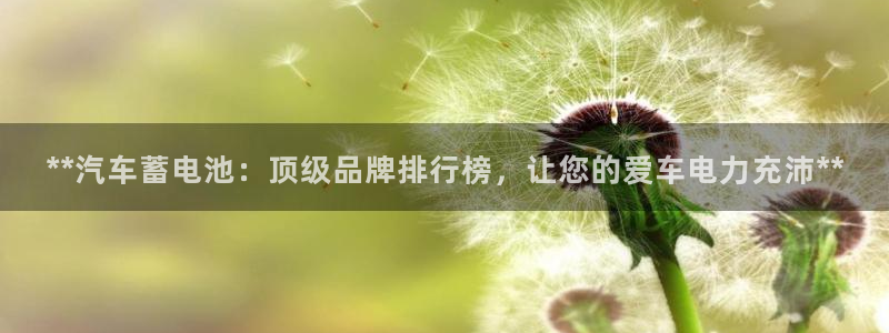 优发国际官方网平台