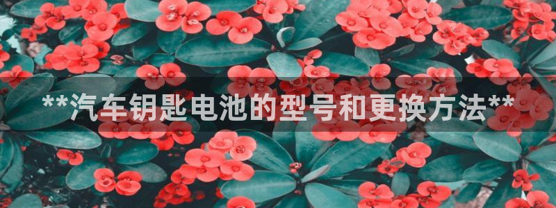 优发国际官方网手机版下载安装