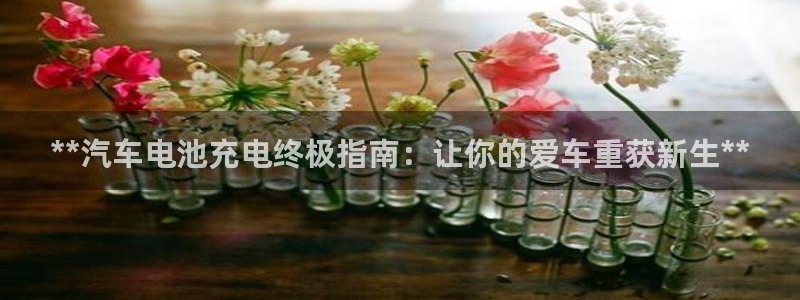优发国际手机版唯一官网下载
