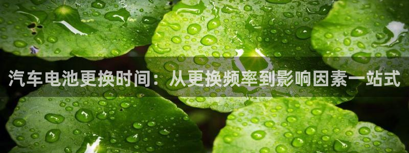 优发国际的网站是