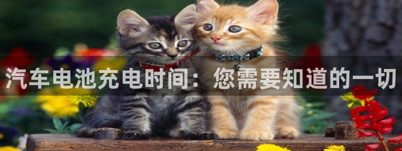 优发国际登录首页官网
