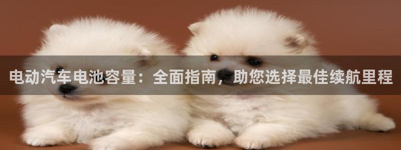 优发国际是什么