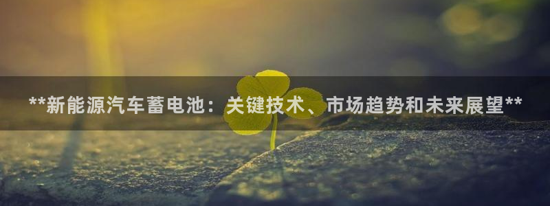 优发国际这个平台怎么样可靠吗