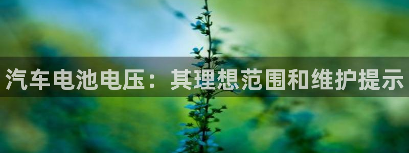 优发国际官网是多少