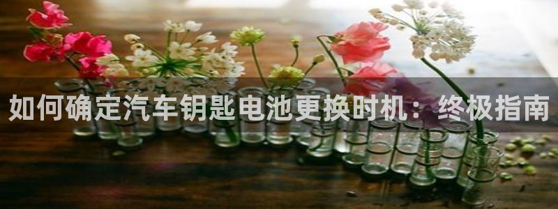 优发国际免费游戏下载