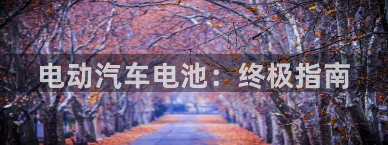 优发娱乐官网地址