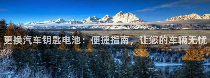 优发国际手机客户端下载不了