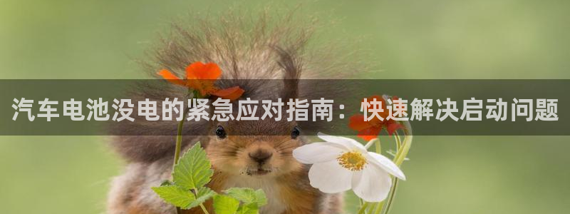 优发国际网站多少