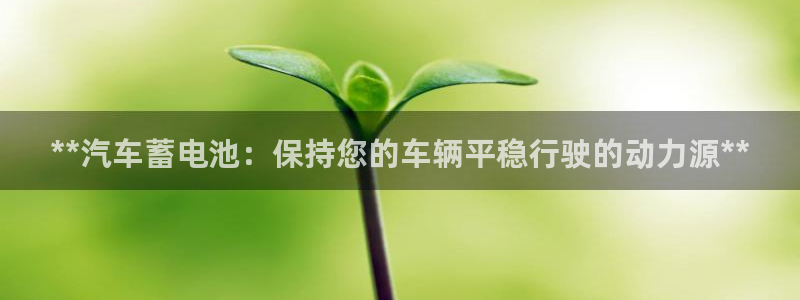 优发国际手机版唯一官网