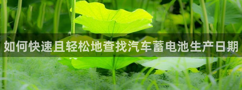 优发国际平台app下载