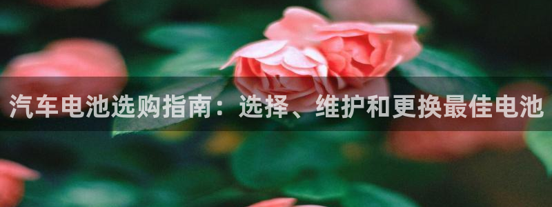 优发国际官方网手机版下载