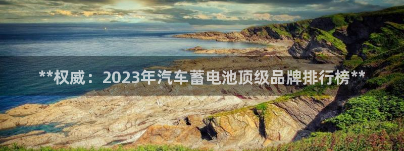 优发国际是什么