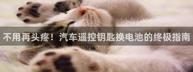 优发娱乐国际线上