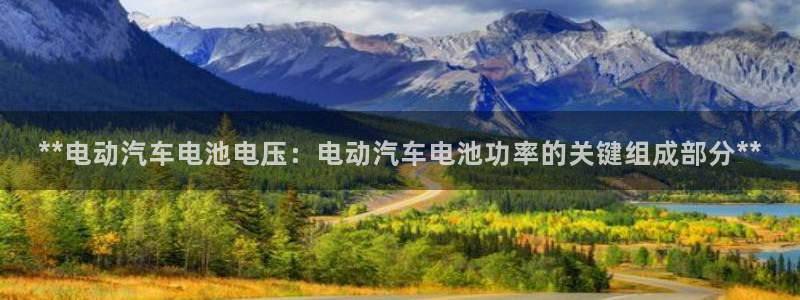 优发国际手机安装登录失败