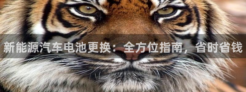 优发国际官网官方网址