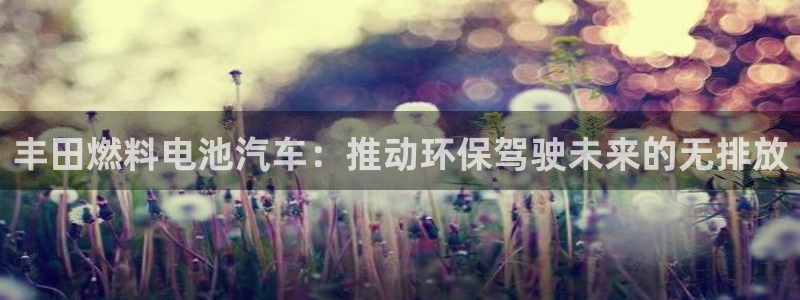 优发国际平台u8