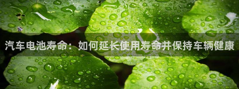 优发国际官网首页
