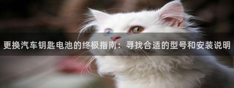 优发国际手机客户端app