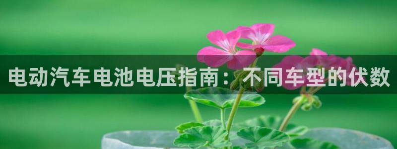 优发国际网官网17w8