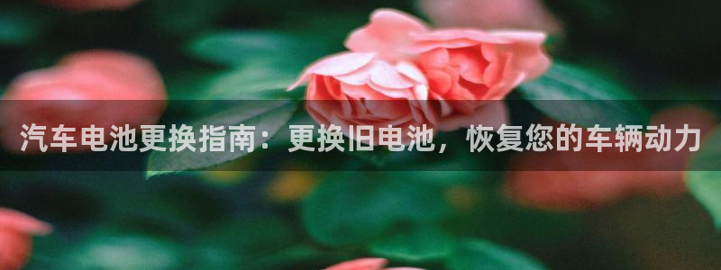 优发国际官网网站首页