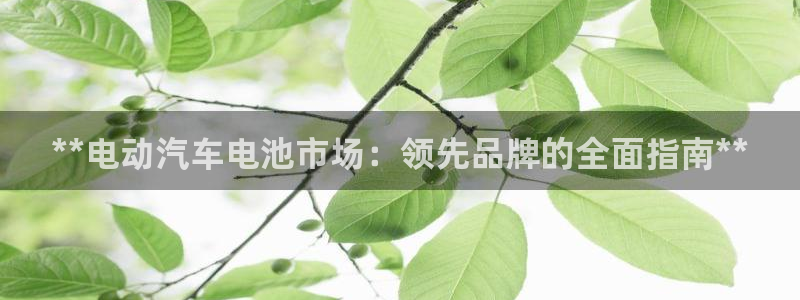 优发国际网页