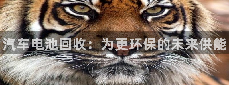 优发国际注册平台