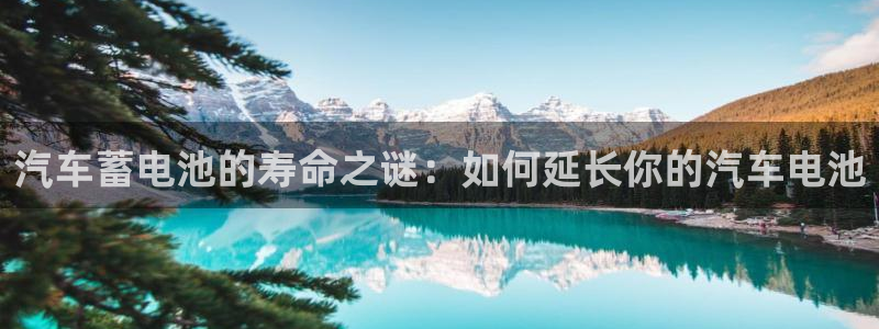 优发国际平台app下载：汽车蓄电池的寿命之谜：如何延长你的汽车电池