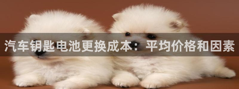优发国际官网手机版下载安卓