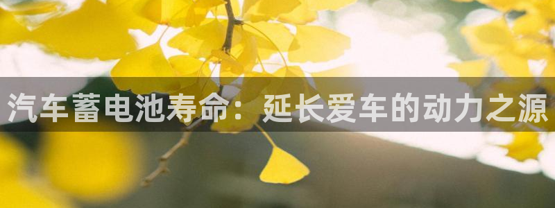 优发国际平台app下载苹果版