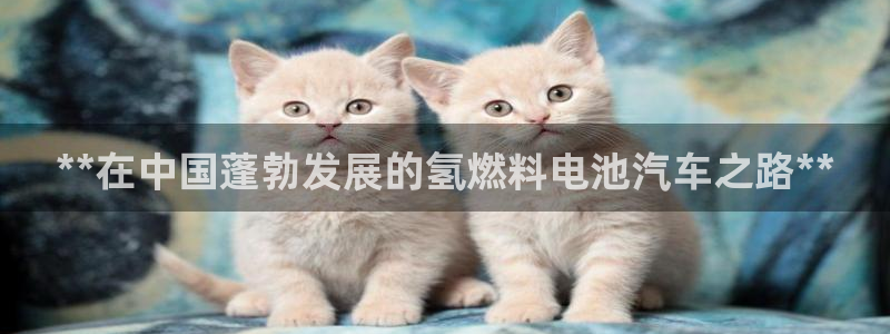 优发国际下载安装：**在中国蓬勃发展的氢燃料电池汽车之路**