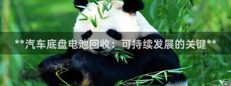 优发国际手机版官网下载