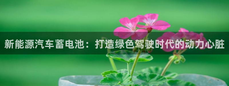 优发国际合并到哪里了最新消息